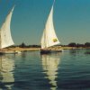 Felucca&#039;s on the Nile